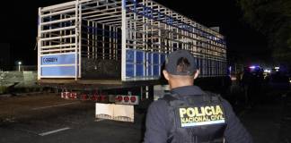 Antinarcóticos de la PNC localizan camión con posibles ilícitos en el Km. 71 de la ruta al Atlántico La Policía Nacional Civil (PNC) informó sobre un operativo en desarrollo en el que se localizaron ilícitos. Foto La Hora: PNC