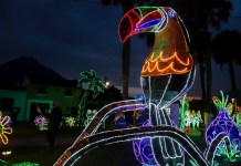 Este sábado 26 y domingo 27 de julio disfruta del último fin de semana e los alumbrados de EEGSA en Antigua Guatemala.