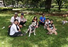 Guía de parques recreativos en la ciudad: Horarios y ubicaciones Pasos y Pedales