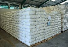 MAGA dispone de más de 205 mil raciones de alimentos para comunidades afectadas por sismos MAGA dispone de más de 205 mil raciones de alimentos para comunidades afectadas por sismos