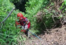 Bombero rescatando a perros que cayeron al barranco. Foto La Hora: CBM