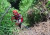 Bombero rescatando a perros que cayeron al barranco. Foto La Hora: CBM