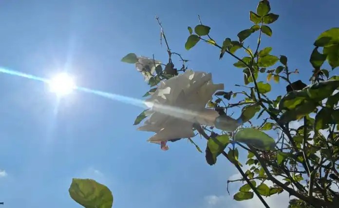El Insivumeh da a conocer las condiciones climáticas por la canícula en el país. Foto La Hora: Archivo.