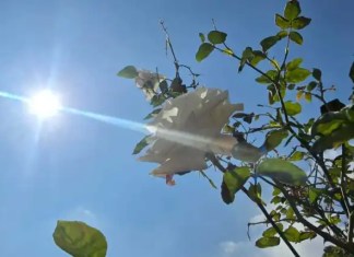 El Insivumeh da a conocer las condiciones climáticas por la canícula en el país. Foto La Hora: Archivo.