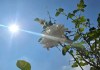 El Insivumeh da a conocer las condiciones climáticas por la canícula en el país. Foto La Hora: Archivo.
