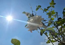 Qué es la canícula y cuándo comenzará en las diferentes regiones del país El Insivumeh da a conocer las condiciones climáticas por la canícula en el país. Foto La Hora: Archivo.