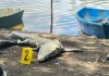 Conap insta a coexistir con la fauna silvestres, tras muerte de cocodrilos en Petén