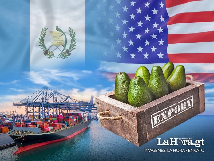 ¿Cómo será el envío de a EE.UU. de los primeros aguacates Hass de Guatemala con el arancel del 10%
