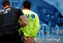 DHS afirma que homicidios bajaron un 17% en EE. UU. tras deportaciones masivas Deportaciones