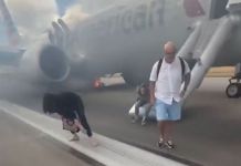Evacuan vuelo en Denver tras fallo en el tren de aterrizaje. Foto La Hora: Captura de Pantalla