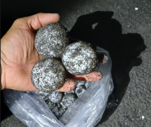 Tortuga baula deposita 26 huevos en la playa de Santa Rosa, es la más grande que visita Guatemala. Foto La Hora: Conap.