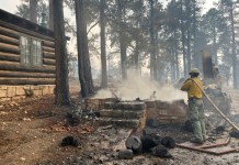 Incendio forestal arrasa con más de 50 estructuras en el Gran Cañón, incluida una cabaña histórica Incendio forestal arrasa con más de 50 estructuras en el Gran Cañón, incluida una cabaña histórica. Foto La Hora: AP