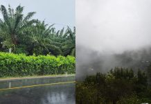 MAGA realiza el monitoreo de 19 departamentos, priorizando 5 por su producción de granos básicos