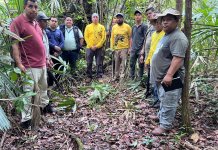 MP localiza osamenta vinculada a turista desaparecido en Parque Nacional Tikal en 2023