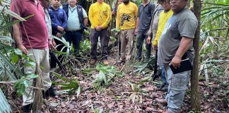 Hallan posibles restos de turista estadounidense desaparecido en Parque Nacional Tikal en 2023 MP localiza osamenta vinculada a turista desaparecido en Parque Nacional Tikal en 2023
