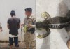 Capturan a hombre en Zacapa por portar especie de iguana en peligro de extinción