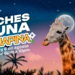 Vuelven las Noches de Luna Chapinas! Este 1 y 8 de agosto,. Foto: Zoológico La Aurora