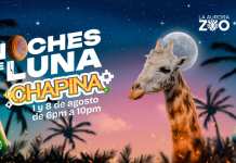 Vuelven las Noches de Luna Chapinas! Este 1 y 8 de agosto,. Foto: Zoológico La Aurora