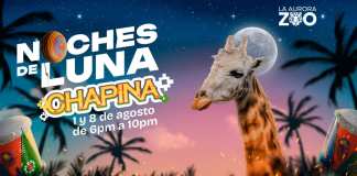 Vuelven las Noches de Luna Chapinas! Este 1 y 8 de agosto,. Foto: Zoológico La Aurora