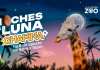 Vuelven las Noches de Luna Chapinas! Este 1 y 8 de agosto,. Foto: Zoológico La Aurora