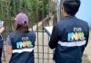 Alba-Keneth activó más de 130 alertas por violencia y explotación en menores de edad