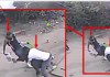 "Los Peludos": la banda criminal vinculada al asesinato de un hombre en San Pedro Ayampuc. Foto La Hora: captura.