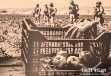 «No hay suficientes trabajadores agrícolas en California», dice activista en EE. UU., ante redadas en granjas