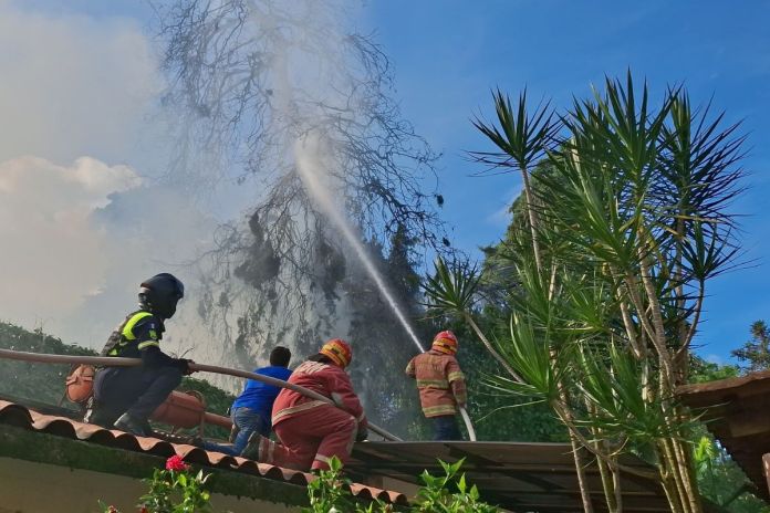 Reportan incendio en la zona 14 capitalina. Foto La Hora: CBM