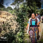 Santa María de Jesús, aislada por los sismos: vecinos caminan entre árboles y tierra caída