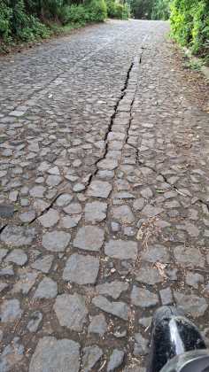 Sismo4