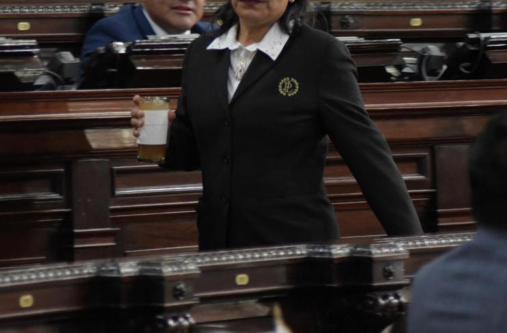 Una trabajadora 011 del Organismo Legislativo portando uno de los uniformes. Foto: La Hora / José Orozco.
