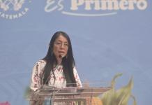 La viceministra de Patrimonio Cultural y Natural, Laura Cotí, dio a conocer sobre una posible ampliación de la denuncia contra el STEG por daños al Palacio Nacional.