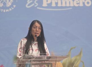 La viceministra de Patrimonio Cultural y Natural, Laura Cotí, dio a conocer sobre una posible ampliación de la denuncia contra el STEG por daños al Palacio Nacional.