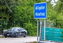 Dos italianos detenidos en el centro de inmigrantes en Alligator Alcatraz en EE. UU.