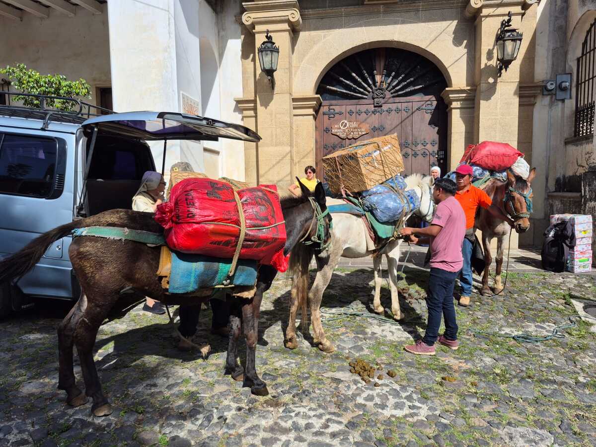 Pobladores y monjas de San Juan del Obispo envían insumos en caballo a Santa María de Jesús