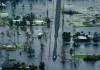 El estado de Texas sufre por inundaciones y una de ellas dejó desaparecidas al menos a 25 personas. Foto:. EFE