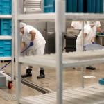 Detenidos en el centro de Tacoma, Washington, realizaban tareas de limpieza en espacios de cocina. Foto La Hora / Vía Telemundo - Ted S. Warren / AP