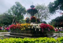 Festival de las Flores 2025