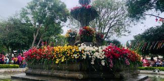 Festival de las Flores 2025