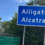 Cancillería asegura que son más de 200 guatemaltecos detenidos en "Alligator Alcatraz"