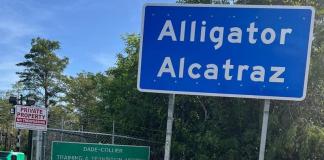 Cancillería asegura que son más de 200 guatemaltecos detenidos en "Alligator Alcatraz"