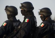 México decomisa más de cinco toneladas de droga en Chiapas, Tijuana y Guerrero