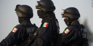 México decomisa más de cinco toneladas de droga en Chiapas, Tijuana y Guerrero