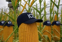 "Desgranador de maíz": DHS anuncia nueva cárcel de migrantes en Nebraska, EE. UU.