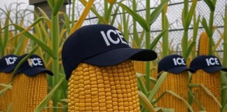 "Desgranador de maíz": DHS anuncia nueva cárcel de migrantes en Nebraska, EE. UU.