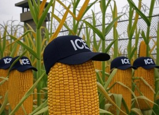 "Desgranador de maíz": DHS anuncia nueva cárcel de migrantes en Nebraska, EE. UU.