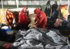 Elementos de la Cruz Roja de Guatemala brindado ayuda a personas afectas por sismos. Foto La Hora: Delegación de la UE de Guatemala