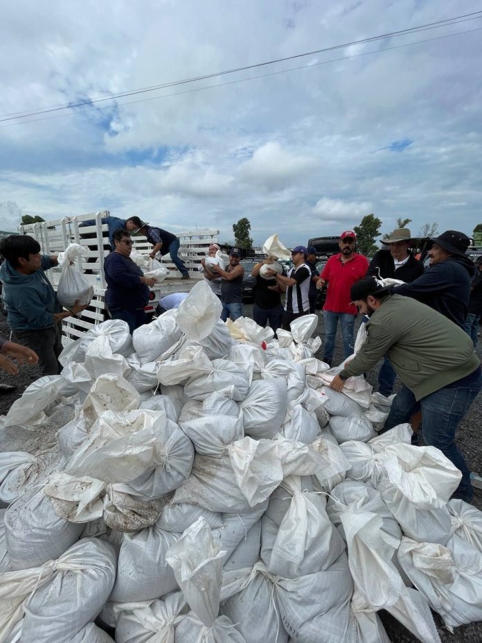 Voluntarios del lugar apoyando con la limpieza de las calles de Querétaro. Foto La Hora: Gobierno del Estado de Querétaro