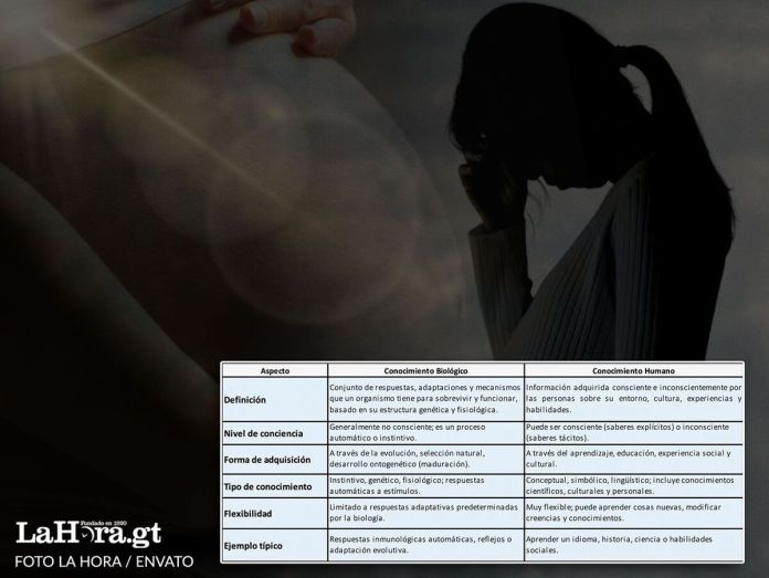 Aborto: debates sobre sus contenidos Vida humana y personalidad. Foto La Hora: Diseño Roberto Altán.