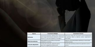 Aborto: debates sobre sus contenidos Vida humana y personalidad. Foto La Hora: Diseño Roberto Altán.